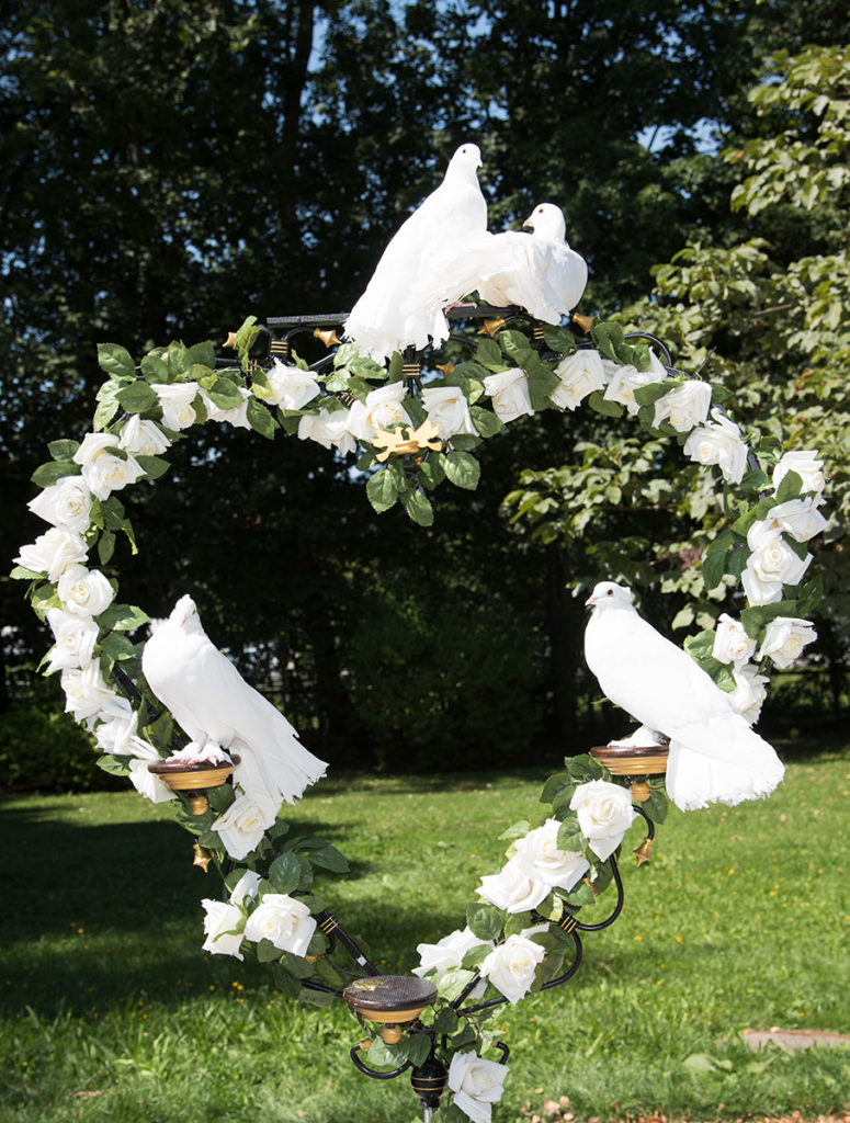 Tauben Hochzeit